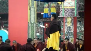 Grown Up Dordzin Tulku