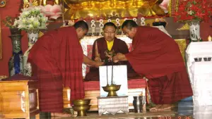 Grown Up Dordzin Tulku